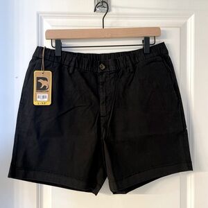 Stretch Chino Shorts (5.5” Inseam) • Bearbottom